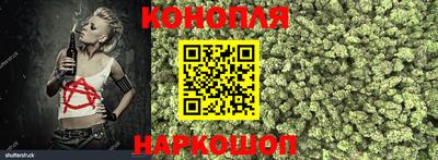 шишки Партизанск