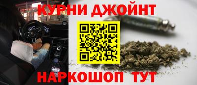 прущие грибы Пенза
