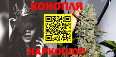 шишки Партизанск