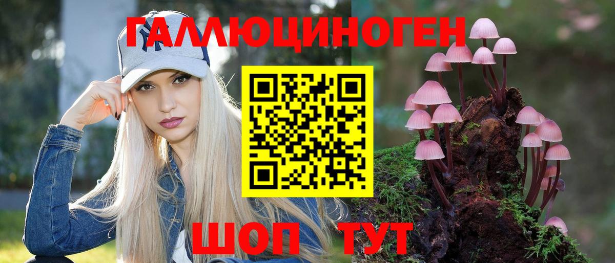 Псилоцибиновые грибы прущие грибы Сальск