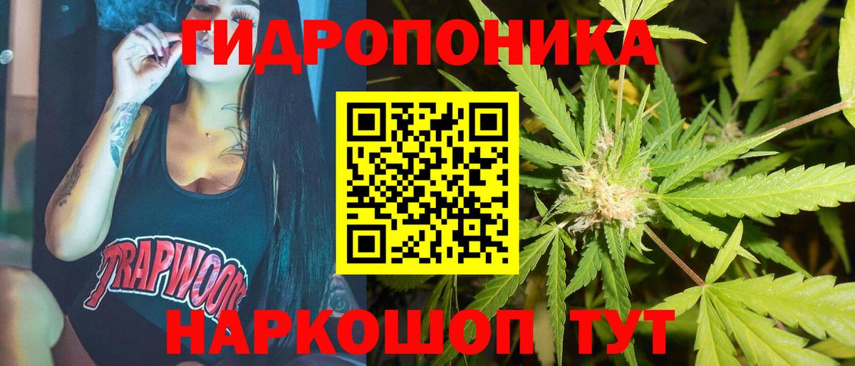 Бошки Шишки VHQ  Канабис OG Kush  Сальск  Бошки марихуана семена  Вход с VPN 